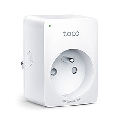 TP-LINK Tapo P100