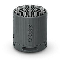 Sony SRS-XB100 Noir 
