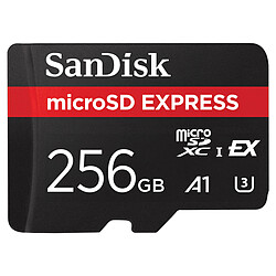 SanDisk Express microSDXC 256 Go