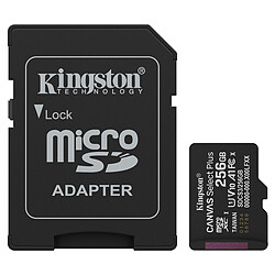 Kingston Canvas Select Plus SDCS3/256GB