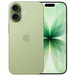 Apple iPhone 17 512 Go Sauge