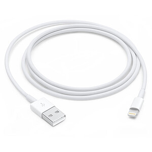 Apple Cable Lightning Vers Usb 1 M Mxly2zm A Achat Accessoire Apple Apple Pour Professionnels Sur Ldlc Pro