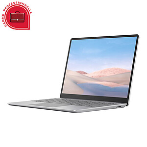 Microsoft Surface Laptop Go 12 4 Grey Platine TNV 00007
