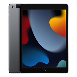 Apple iPad 2021 64 Go Wi-Fi Cellular Grey Sideral
