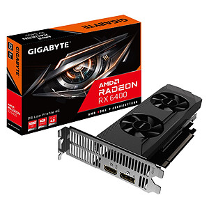 Gigabyte Radeon RX 6400 D6 Low Profile 4 Go
