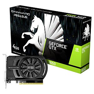 Gainward GeForce GTX 1650 Pegasus DVI
