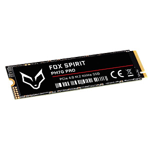Fox Spirit PM70 PRO M 2 NVMe 960 Go PCIe 4 0
