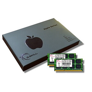 G Skill Mac Memory SODIMM 8 Go 2x 4Go DDR3 1333 MHz
