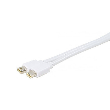Câble Mini DisplayPort mâle/mâle (2 mètres) Câble Mini DisplayPort