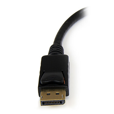 Acheter StarTech.com DP2HDMI2