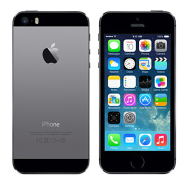 Apple iPhone 5s 32 Go Gris Sidéral