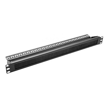 Dexlan cable duct for network cabinets - width 19'' - height 1U - brush passage - guide support