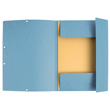  Exacompta Folders 3 flaps lastic 400g Assorted x 10
