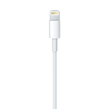 Avis Apple Câble Lightning vers USB - 2 m