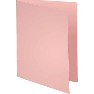 Exacompta Forever Folders 170g Pink x 100