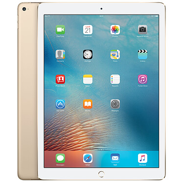 Apple iPad Pro 12.9" Wi-Fi + Cellular 256 Go Or