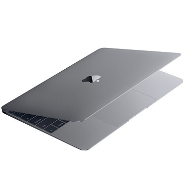 Acheter Apple MacBook (2016) 12" Gris sidéral (MLH82FN/A)