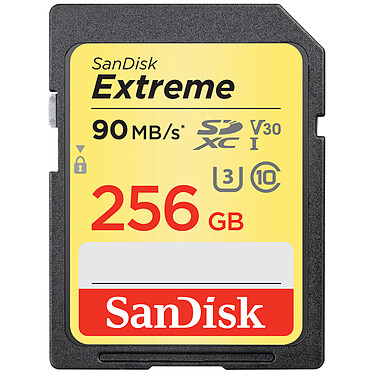 SanDisk Carte mémoire SDXC Extreme UHS-1 U3 V30 256 Go