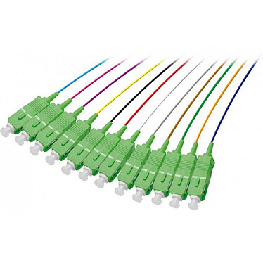 Pigtail OS2 SC/APC LSOH 12 connecteurs (2M)