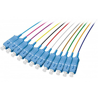 Pigtail OM3 SC/UPC LSOH 12 connecteurs (2M)