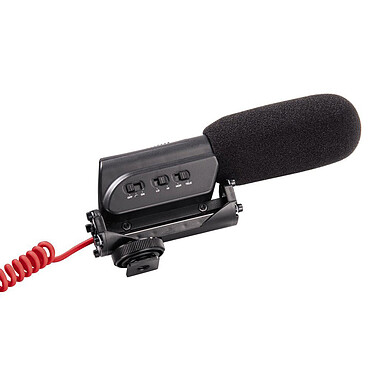 Camera microphone