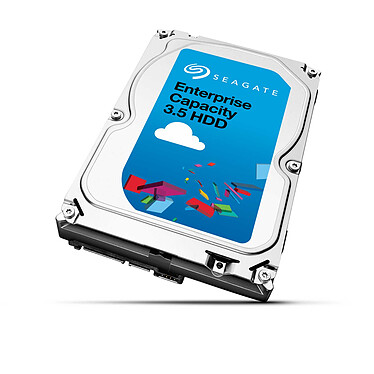 Seagate Enterprise Capacity 3.5 HDD v.5 2 To (ST2000NM0055)