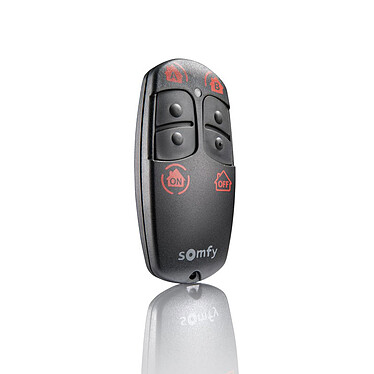 Somfy mando a distancia alarme On/Off + Groupes