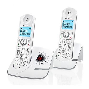 Alcatel F390 Voice Duo Gris
