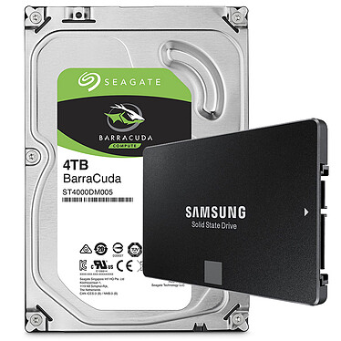 Samsung SSD 850 EVO 250 Go + HDD 4 To Seagate BarraCuda
