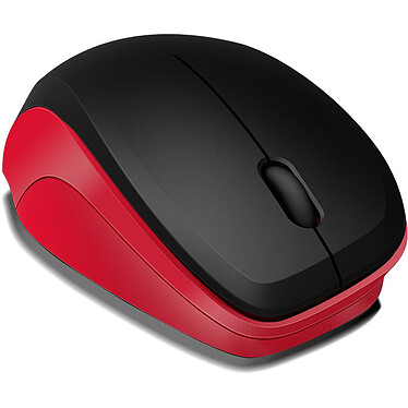 Souris PC