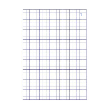  Elve Quadrill notebook 5 x 5 mm, 50 tri-fold sheets