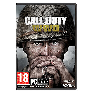 Call Of Duty : World War II (PC)