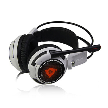 Spirit of Gamer Xpert-H900 - Micro-casque - Garantie 3 ans LDLC