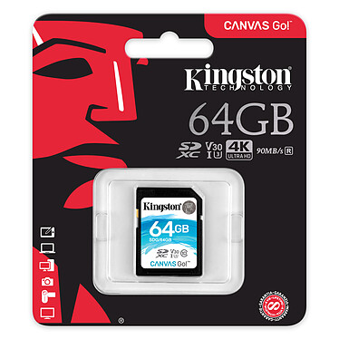 Avis Kingston Canvas Go! SDG/64GB