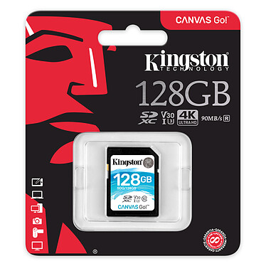 Avis Kingston Canvas Go! SDG/128GB
