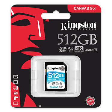 Opiniones sobre Kingston Canvas Go! SDG/512GB