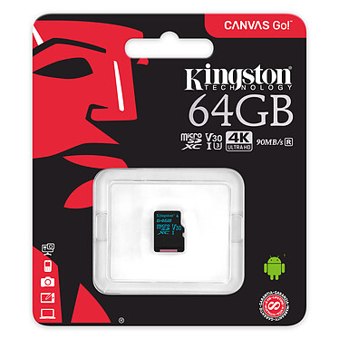 Avis Kingston Canvas Go! SDCG2/64GBSP