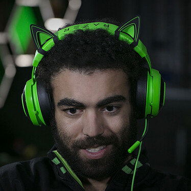 Opiniones sobre Razer Kitty Ears for Kraken (verde)