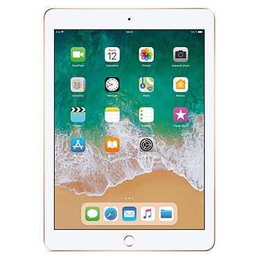 Opiniones sobre Apple iPad (2018) Wi-Fi 32 GB Wi-Fi Gold