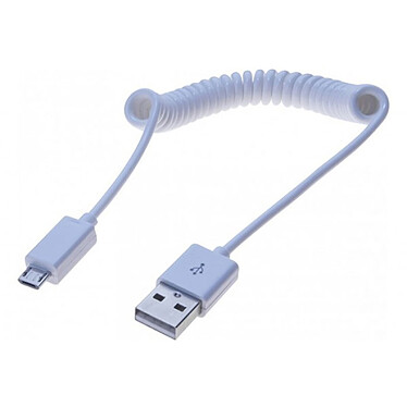 Cable espiral USB A macho / Micrófono USB B macho - 60 cm