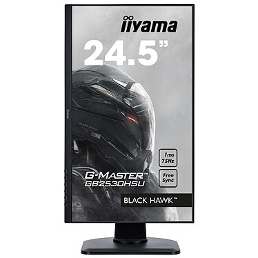 Acheter iiyama 24,5" LED - G-MASTER GB2530HSU-B1 Black Hawk