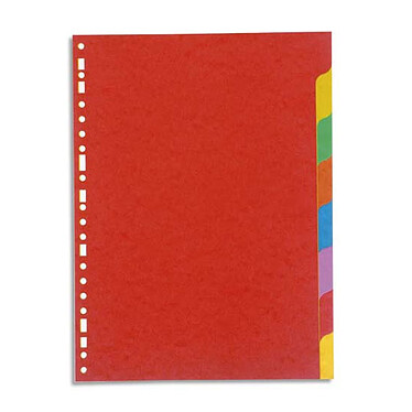 Lustre card dividers 3/10 A4 format 8 positions