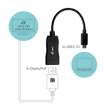 Acheter i-tec Adaptateur USB-C / DisplayPort (M/F) Noir