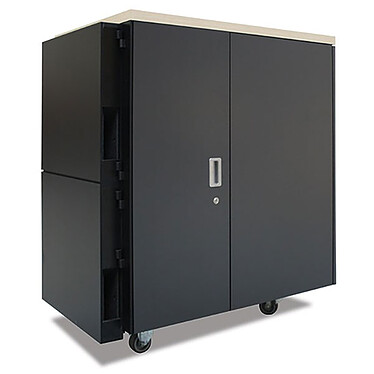 Comprar APC NetShelter CX 24U Cabinet - Madera