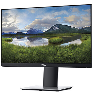 Review Dell 21.5" LED - P2219H