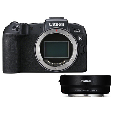 Canon EOS RP + EF-EOS R