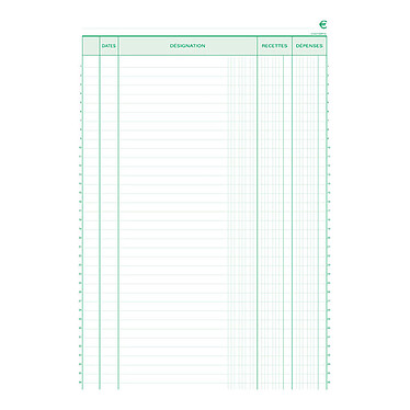 Exacompta Manifold Receipts & Expenses 29.7 x 21 cm