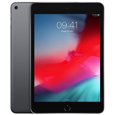 Apple iPad mini 5 Wi-Fi 256 Go Gris Sidéral