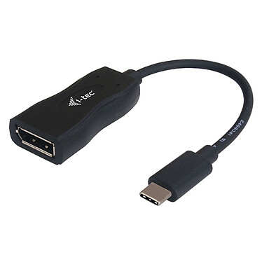 i-tec USB-C / DisplayPort Adapter (male/female)