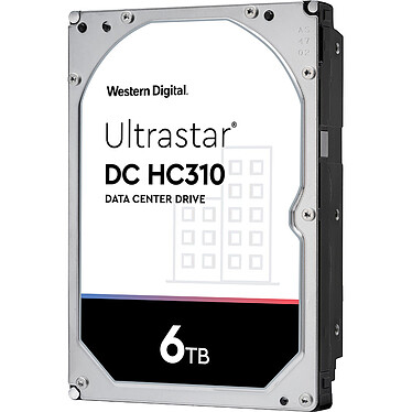 Western Digital Ultrastar DC HC310 6 To (0B36039)